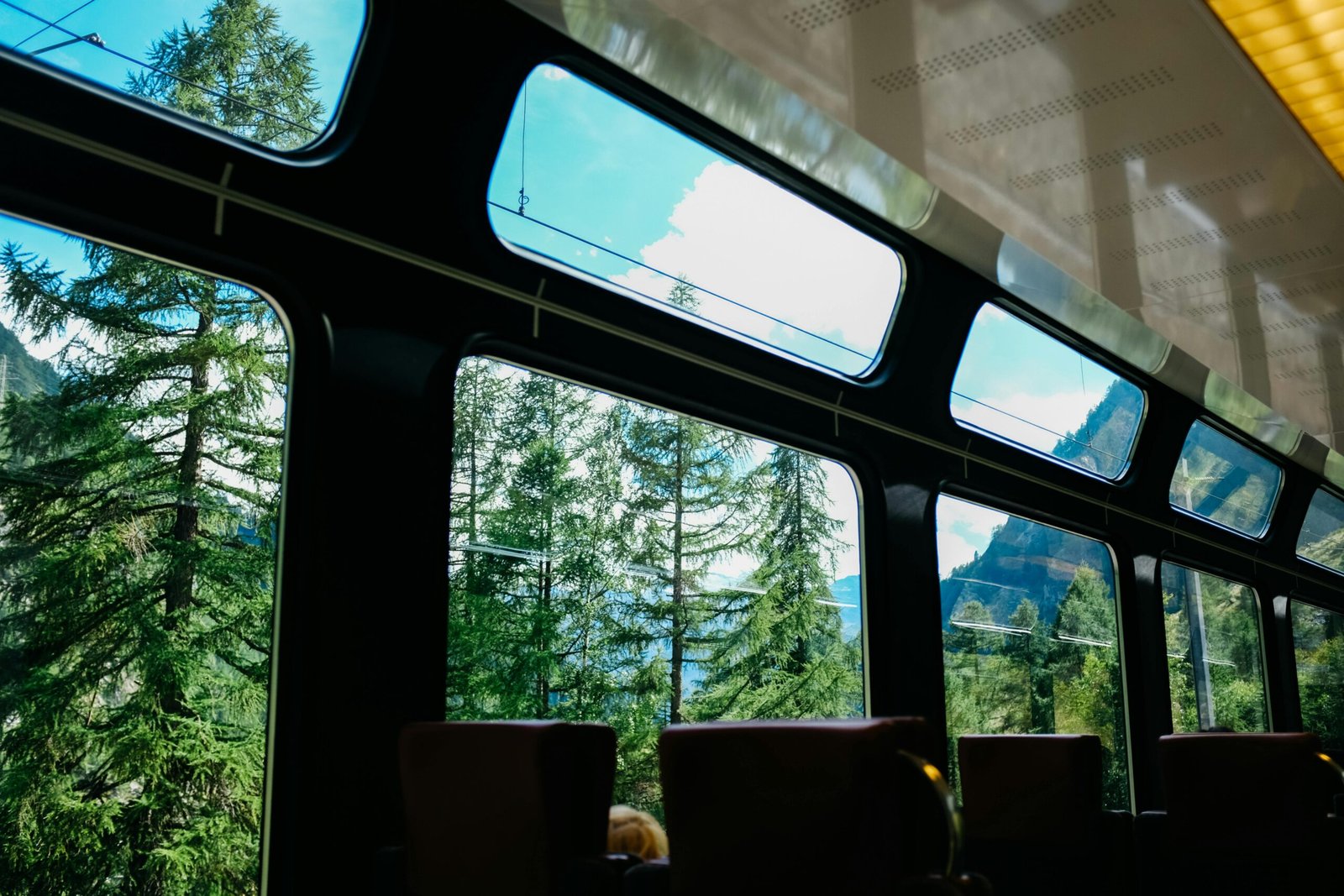 View from train window displaying stunning alpine forest landscape.