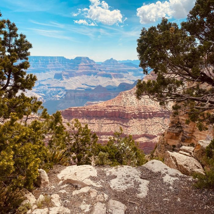 Explore the breathtaking view of the Grand Canyon under a clear blue sky.