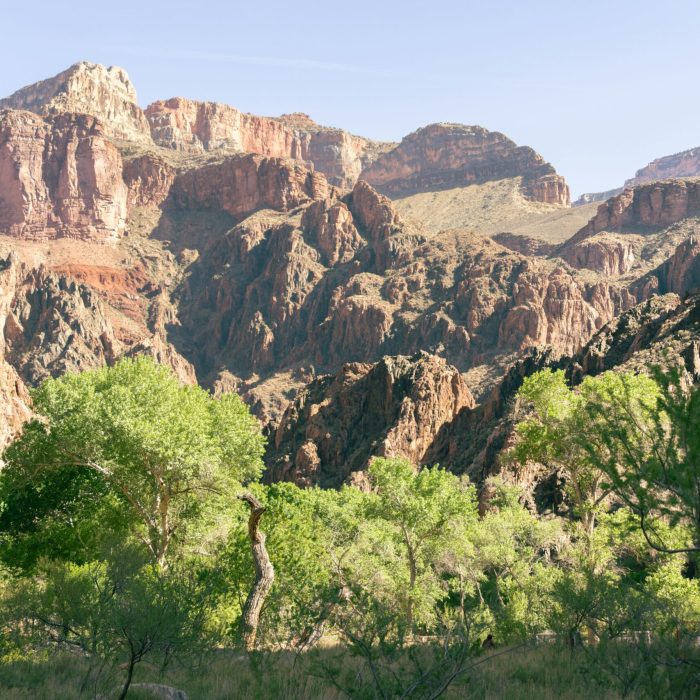 Breathtaking landscape of Grand Canyon from the North Rim in Arizona, USA.